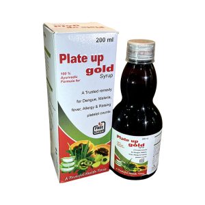 PLATE UP GOLD